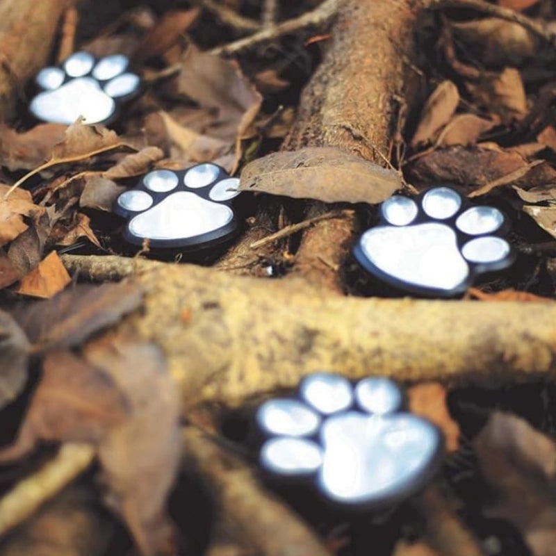 Solar Paw Print Path Lights for Garden – Dusk-to-Dawn LEDs