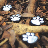 Solar Paw Print Path Lights for Garden – Dusk-to-Dawn LEDs