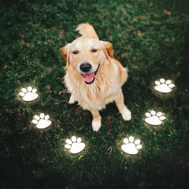 Solar Paw Print Path Lights for Garden – Dusk-to-Dawn LEDs