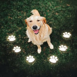 Solar Paw Print Path Lights for Garden – Dusk-to-Dawn LEDs