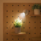 Wireless Wall Spotlights with Remote – Battery or USB Rechargeable